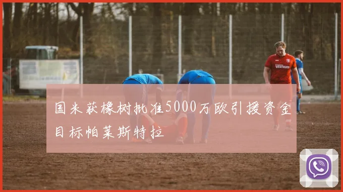 国米获橡树批准5000万欧引援资金目标帕莱斯特拉